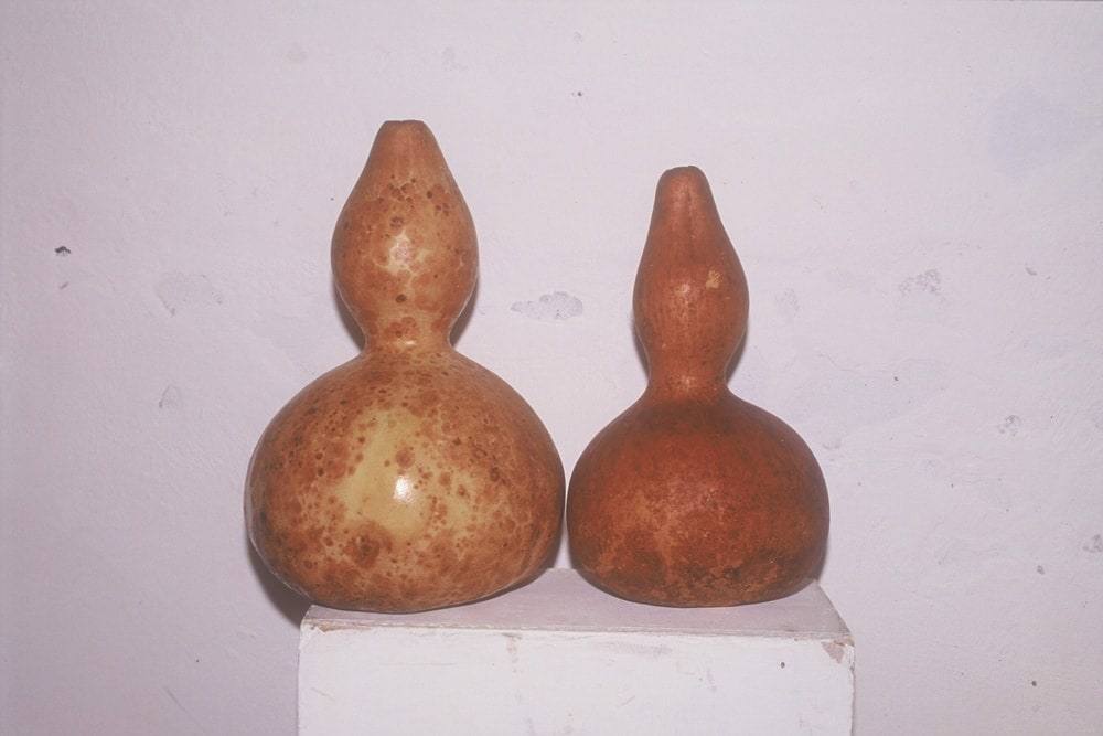 Rad Slaviše Živkovića
