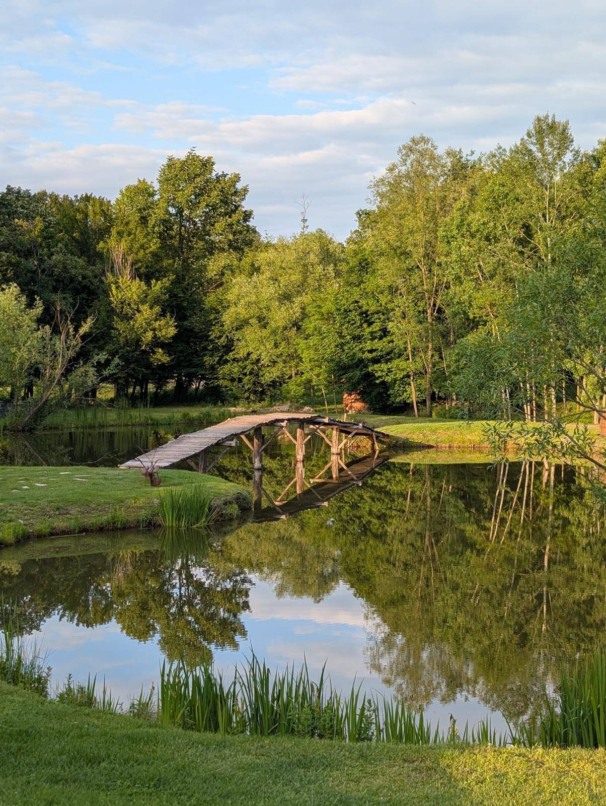 Drveni most na jezeru između trave i trske, krošnje i nebo u vodi