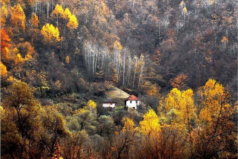 Mala bela kuća u jesenjoj šumi punoj žutog lišća