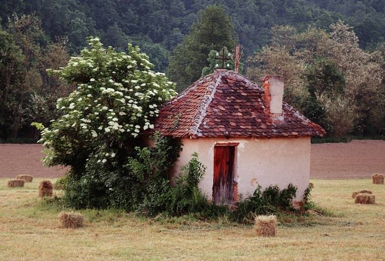 Kuća sa crvenim krovom i bazgom u cvatu, bale sena na livadi