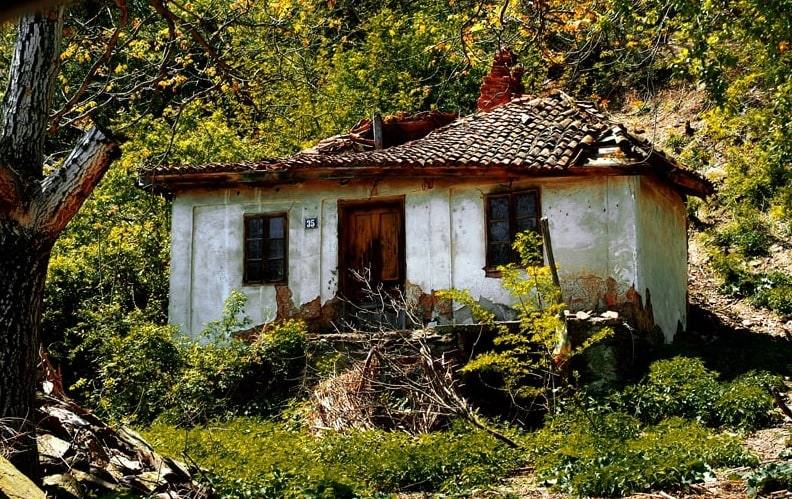 Napuštena kuća zarasla u korov i grmlje