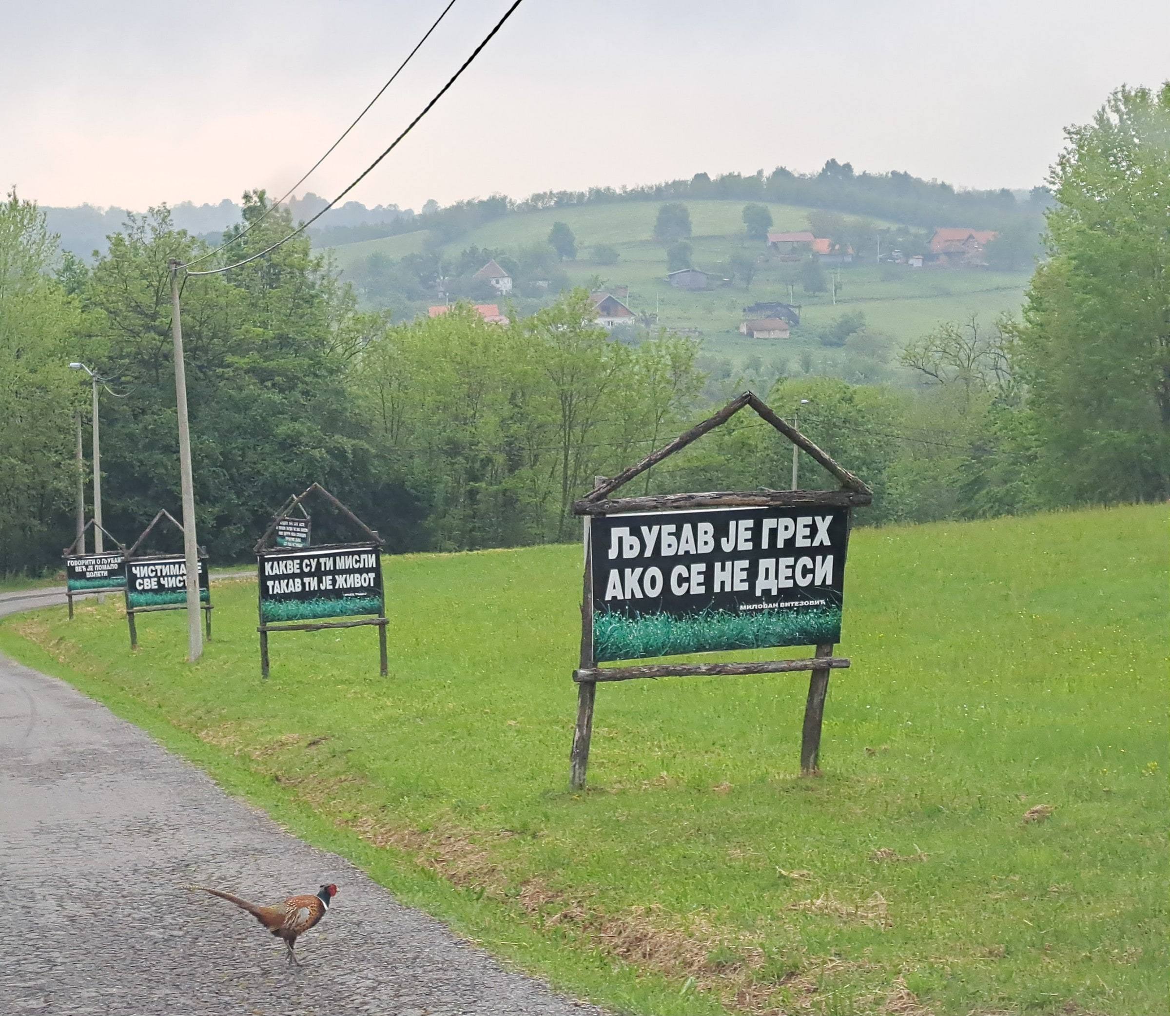 Niz tabli sa porukama pored puta kroz livadu, ispred njih fazan